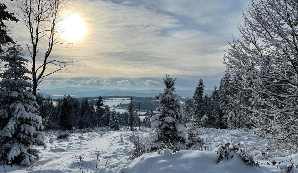 Domki Na Wzgorzu Nowica Exterior foto
