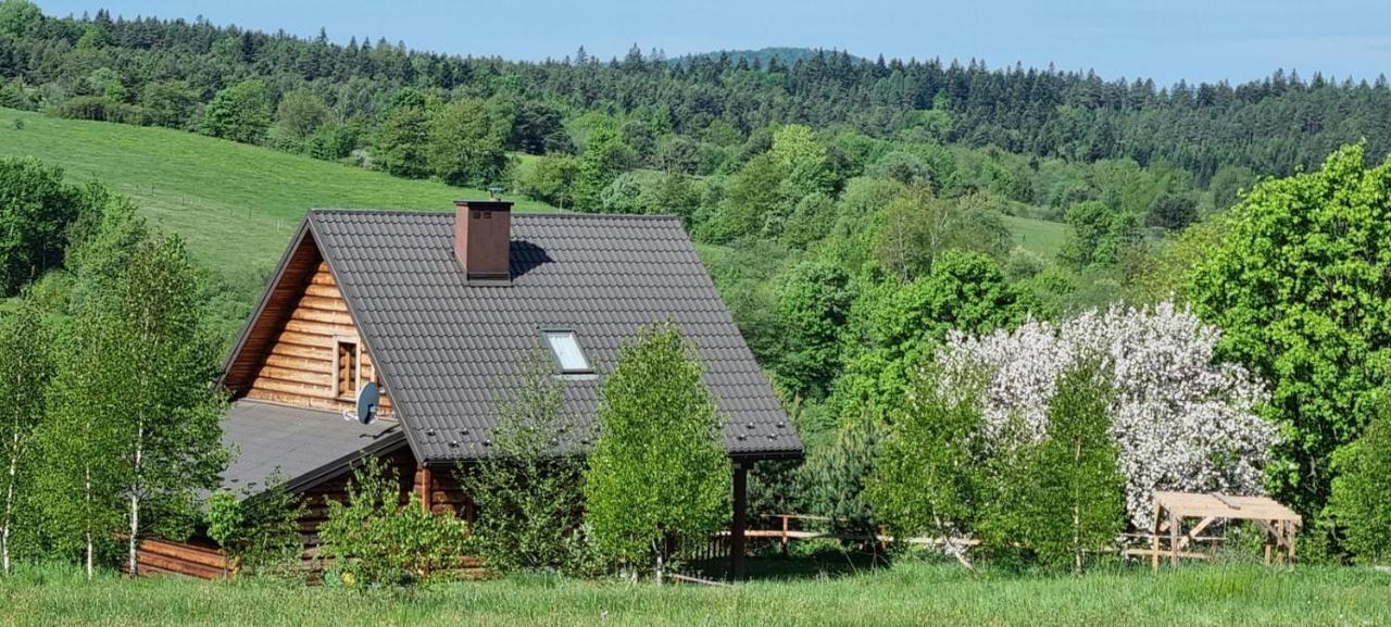 Domki Na Wzgorzu Nowica Exterior foto
